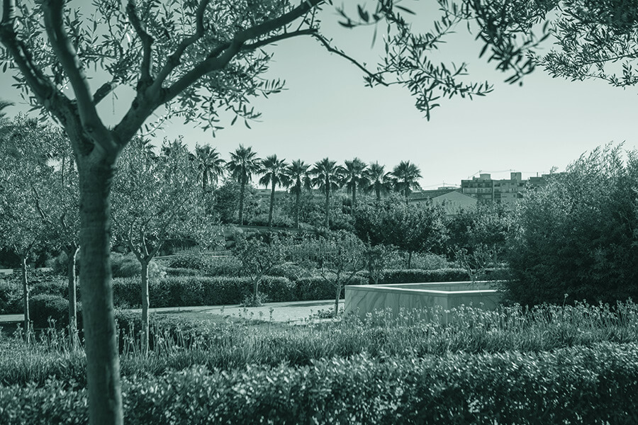 From the Chair of Urban Energy Transition, we admire the RIP project for its innovative way of converting cemeteries into solar plants. We contribute to a green València by designing decarbonization strategies, simulating energy projects, promoting sustainable buildings and transferring knowledge from academia to municipal policies.