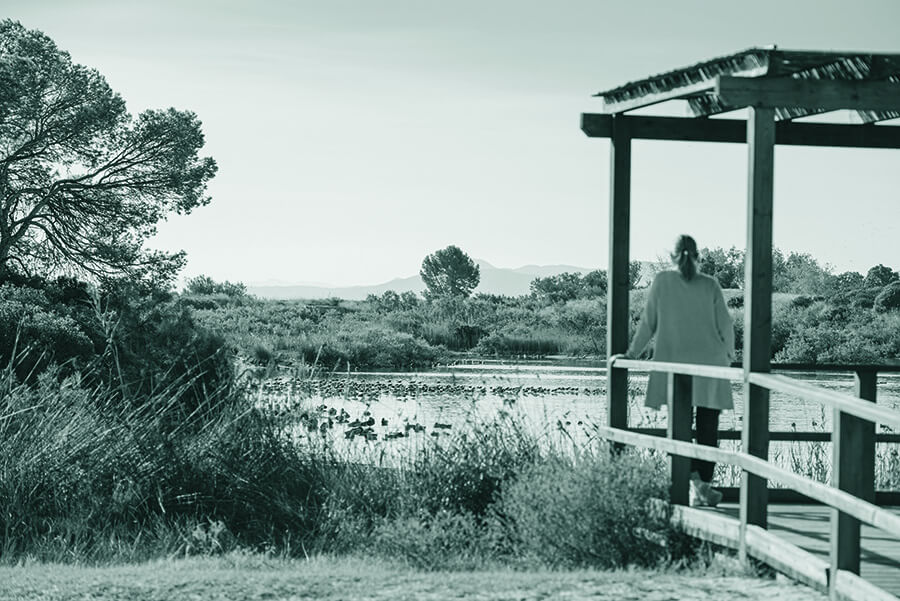 The Turia Garden vertebrates València as a great green band, and its connection to the sea in Nazaret is key. It also highlights the recovery of the Turia Natural Park after the floods of 2024. Agricultural engineers are essential in the design of urban gardens and the management of the orchard and the Albufera, balancing sustainability and development.
