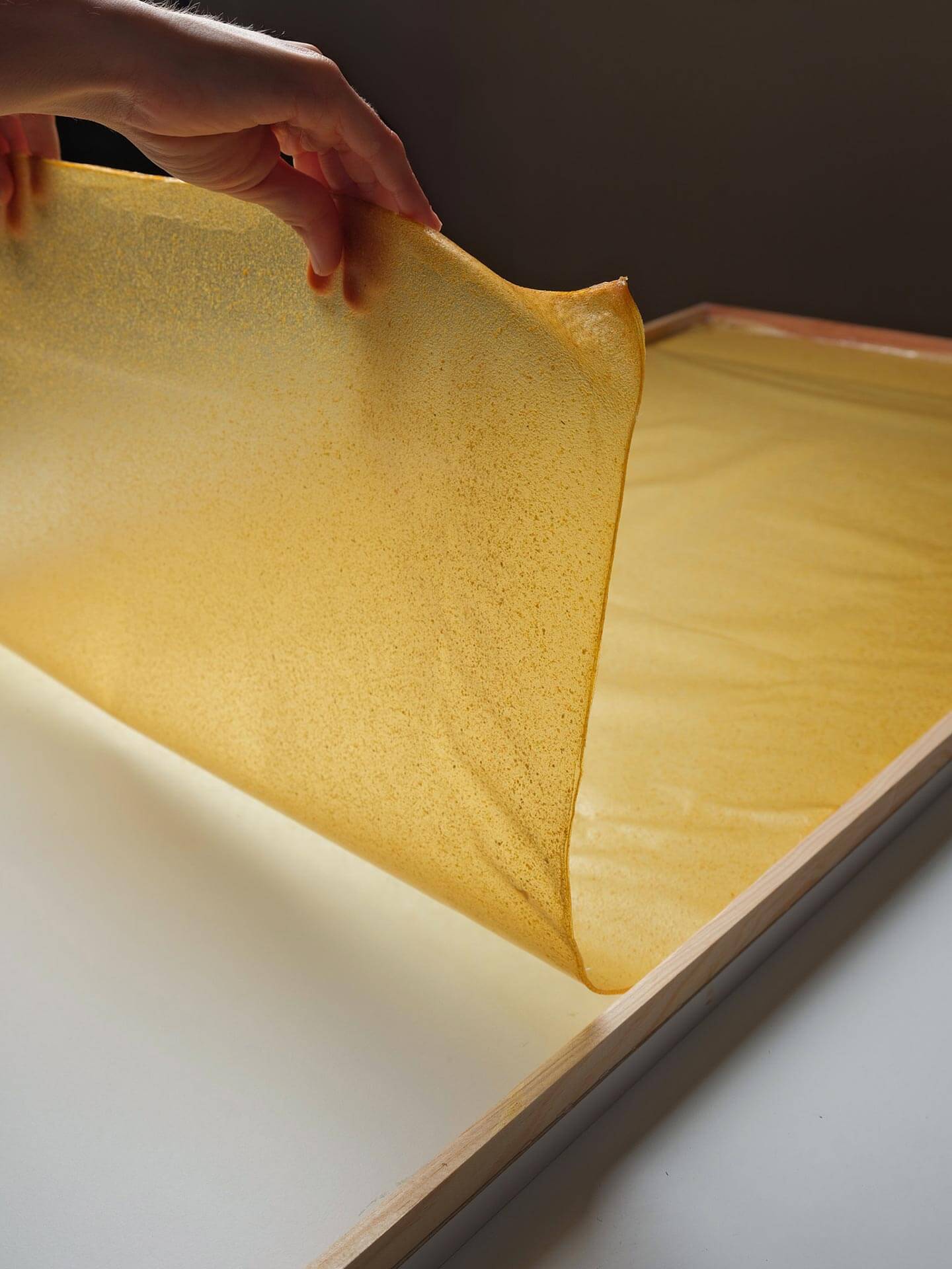 Biomaterial sheet I